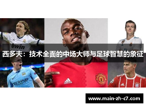 西多夫:技术全面的中场大师与足球智慧的象征 西多夫:技术全面的中场大师与足球智慧的象征